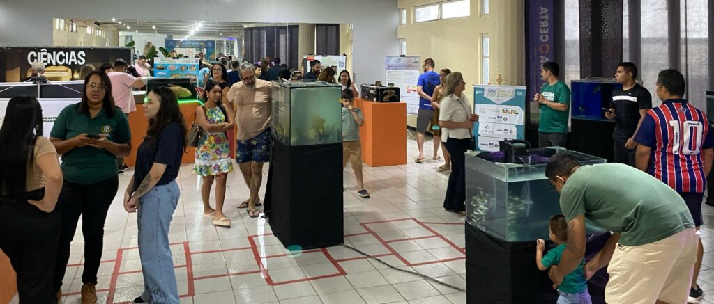 O festival promove a cadeia produtiva do pescado, valorizando o que vem dos rios e das mãos dos produtores