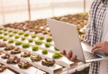 Imposto de Renda 2025: o que o produtor rural precisa saber para não cair na malha fina e ainda economizar com a contabilidade certa Um bom livro-caixa pode representar economia real no bolso do produtor