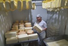 Empreendedorismo feminino no campo ganha destaque com a história de Luzinete Fernandes e a agroindústria Lacklein