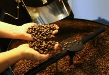 Café: inscrições abertas para a maior competição de torra do mundo