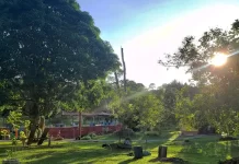 Chácara Panorama atrai famílias e grupos em busca de lazer na natureza aos fins de semana, na BR-364 Chácara Panorama funciona aos sábados, domingos e feriados, das 8h às 18h, reservas pelo WhatsApp (69) 99937-3460
