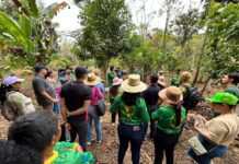 VÍDEO: Interesse pelas abelhas sem ferrão movimenta o 1º Workshop da Amazônia Ocidental sobre Meliponicultura