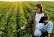 Gestão sustentável: o caminho para um agro mais resiliente