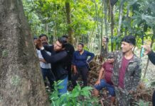 Semagric participa de oficina sobre boas práticas no manejo das seringueiras Semagric fortalece o extrativismo sustentável em Rondônia