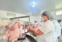 SIM garante segurança no abate de codornas em agroindústria de Porto Velho