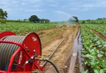 Agricultores familiares rondonienses já contrataram mais de R$ 4 bilhões de crédito rural nas últimas três safras