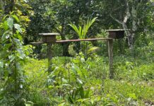 Porto Velho chega aos 111 anos ampliando apoio a quem produz no campo