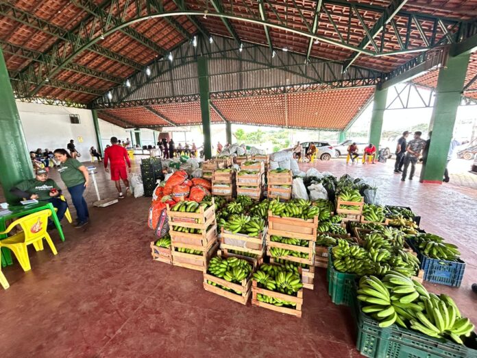 2ª entrega do PAA e Conab em Porto Velho garante renda e alimento do campo à mesa