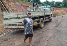 Transporte gratuito da Semagric garante renda e fortalece agricultores familiares