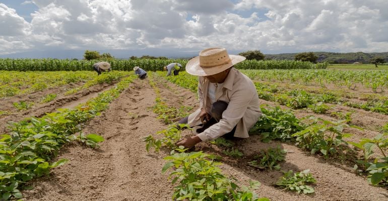 A inscrição no Cadastro Nacional da Agricultura Familiar (CAF) é requisito básico para que beneficiários tenham acesso às diversas políticas públicas