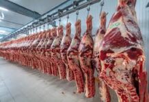 Frigorífico de Ji-Paraná foi habilitado a exportar carne bovina para Indonésia