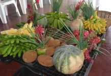 Edital de chamada pública do PAA é publicado pelo governo de RO para compra de alimentos da agricultura familiar A chamada pública é voltada aos agricultores familiares, povos e comunidades tradicionais e demais beneficiários que se enquadram na Lei da Agricultura Familiar