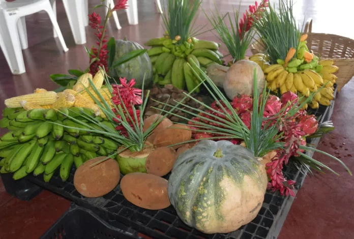 A chamada pública é voltada aos agricultores familiares, povos e comunidades tradicionais e demais beneficiários que se enquadram na Lei da Agricultura Familiar