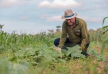 Edital prevê R$ 131,9 milhões para regularização fundiária e apoio a agricultores
