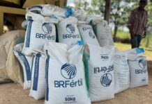 Mais de 50 toneladas de adubo são entregues pelo governo de RO para produtores da comunidade Rancho Alegre