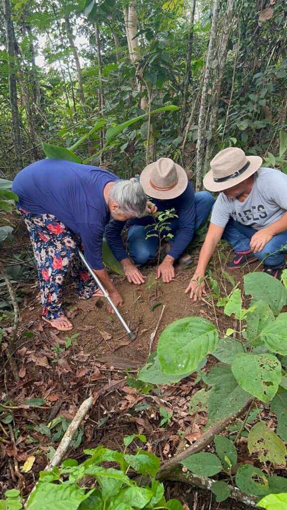 agricultora Maria Auxiliadora Lopes Pinheiro, de 81 anos, pioneira na região