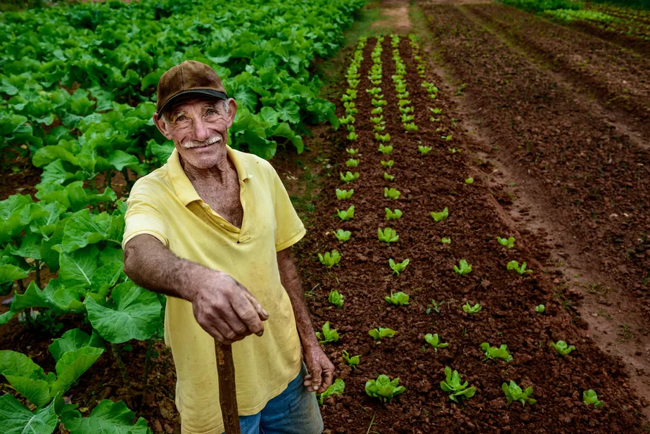 O campo envelhece, a cidade consome, quem fará essa ponte no futuro?