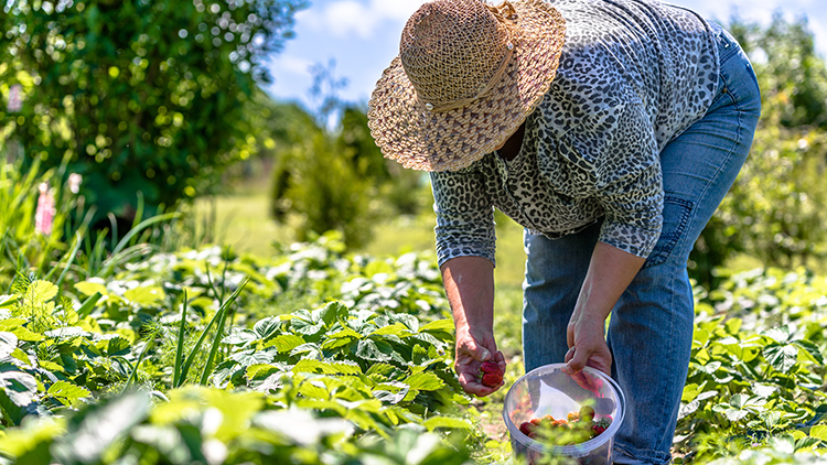 Não existe “agro completo” sem reconhecer o valor de cada perfil, porque este segmento que alimenta o mundo 
