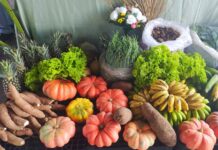 Seguem até março inscrições para venda de R$ 3,1 milhões em alimentos