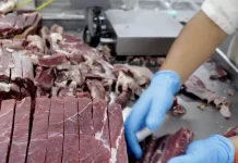 Brasil habilita seis indústrias para exportar carne à Guatemala