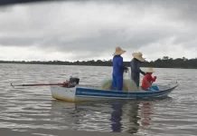 Prazo para pescadores artesanais solicitarem seguro-defeso é prorrogado