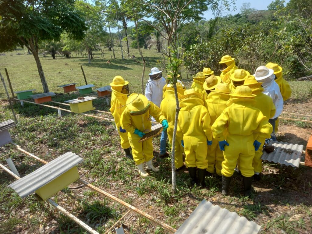 Do campo à mesa: o crescimento da produção de mel em Porto Velho