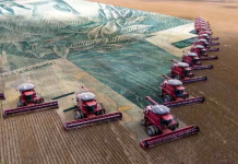 PIB da agropecuária cresce 11,7% e soma R$ 775,3 bi em 2025