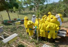 Prefeitura reforça cadastro de produtores de mel em Porto Velho