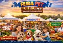 Feira Pet movimenta Porto Velho com atrações, adoção e fortalecimento do empreendedorismo local o evento também contará com feira de adoção de animais, incentivando a posse responsável