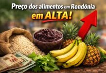 Do campo à mesa: preços de produtos rurais oscilam em Rondônia Produção enfrenta desafios e queda de preços
