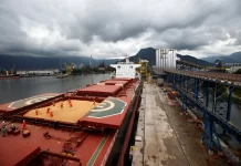 Preços da soja caem no Brasil e encostam no menor nível em cinco anos