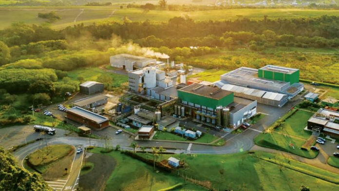 usinas no Brasil que já utilizam a nova geração da levedura registraram um aumento médio do número de moagens