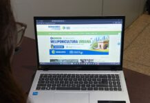 Portal modernizado amplia acesso a cursos gratuitos e serviços rurais