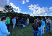 Parceria fortalece qualidade do café em Porto Velho A programação contou com etapa teórica e visita técnica ao campo experimental de café da Embrapa