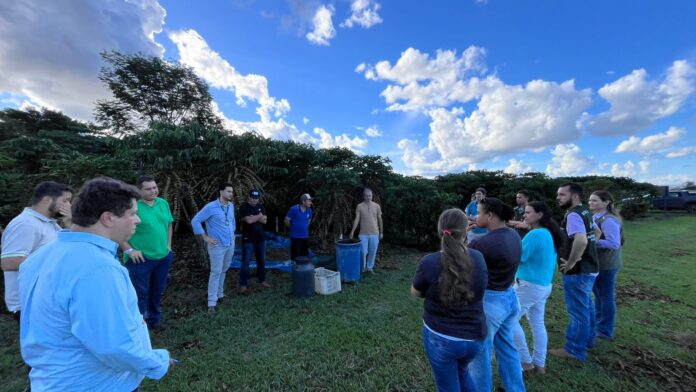 A programação contou com etapa teórica e visita técnica ao campo experimental de café da Embrapa