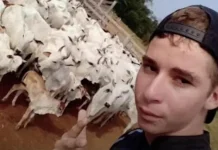 Jovem de 21 anos morreu após sofrer descarga elétrica durante colheita de café, em RO o jovem estava em cima de uma colheitadeira de café realizando o serviço de puxar os grãos com o auxílio do rastelo