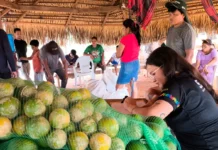 Segurança alimentar e geração de renda são impulsionadas em comunidade indígena por meio do PAA
