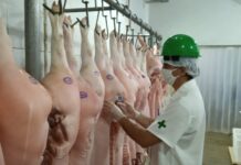 Empresas privadas poderão se credenciar na Idaron para inspeção sanitária em frigoríficos de Rondônia