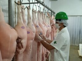 Empresas privadas poderão se credenciar na Idaron para inspeção sanitária em frigoríficos de Rondônia
