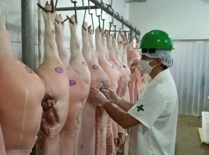 Inspeção-de-alimentos-idaron-01.09-768x571