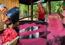 Farinha cor-de-rosa surpreende consumidores e mostra força da inovação no campo Farinha cor-de-rosa conquista consumidores e valoriza a produção artesanal amazônica
