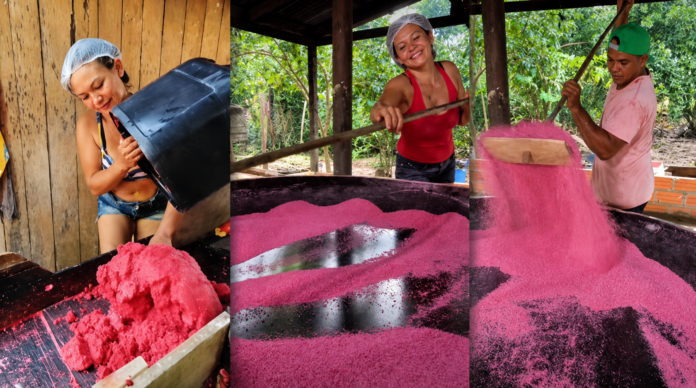 Farinha cor-de-rosa conquista consumidores e valoriza a produção artesanal amazônica