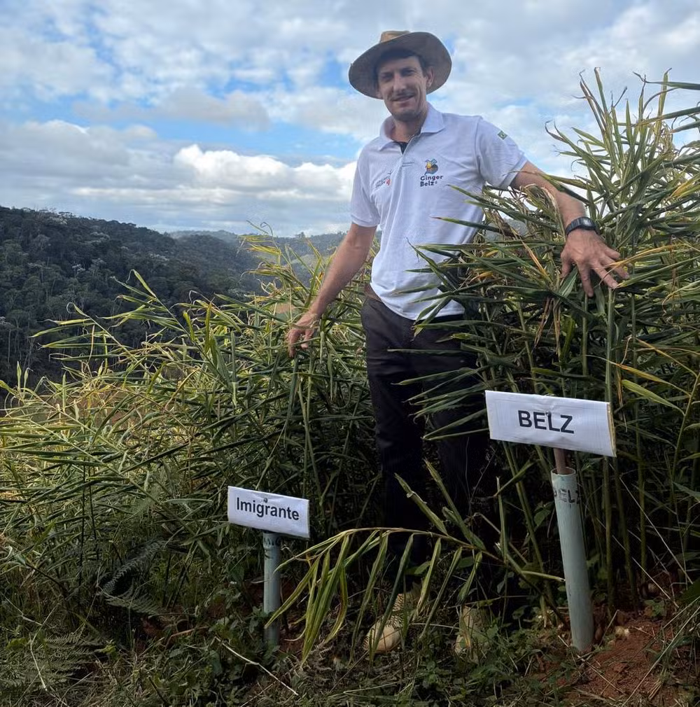 Alexandre Lemke Belz produz e exporta gengibre orgânico — Foto: Divulgação