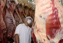 Carne bovina supera soja e lidera exportações de Rondônia em maio