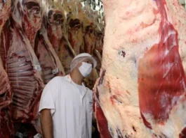 Carne bovina supera soja e lidera exportações de Rondônia em maio