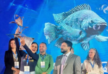 Mayara Fernandes leva o nome de Rondônia ao topo da aquicultura brasileira e recebe prêmio nacional