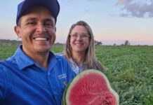 Do sonho à colheita: casal transforma pequena propriedade em referência na produção de melancia em Rondônia Do plantio à colheita, a dedicação da família faz da melancia o principal fruto de uma história de superação.
