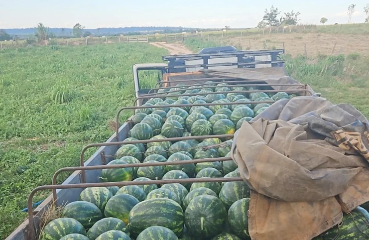 Cada safra representa o resultado do esforço da família e da força da agricultura familiar em Rondônia.