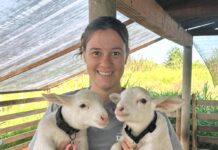 Pecuarista de Rondônia é finalista de prêmio nacional e mobiliza votação popular