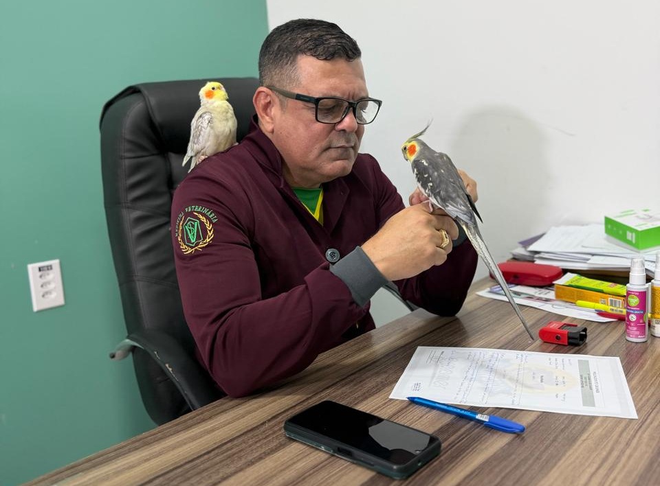 Os animais devem permanecer em ambientes ventilados, com sombra e protegidos da exposição direta ao sol